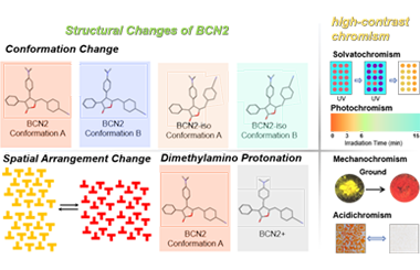 Dual-conformation stimuli-responsive material and its high contrast imaging 2026.101050